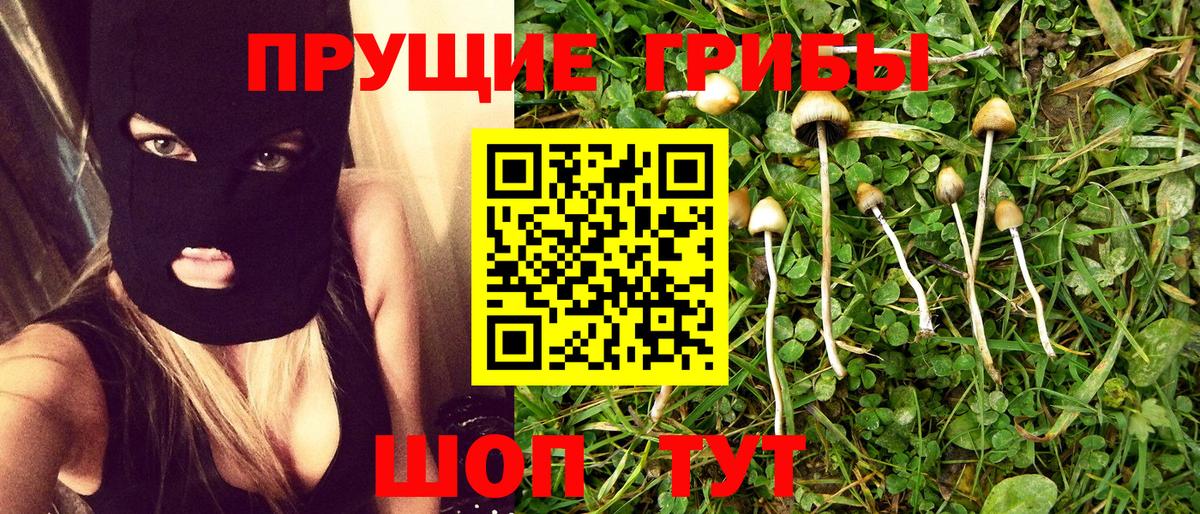 Галлюциногенные грибы мицелий  Вход с VPN  Псилоцибиновые грибы Psilocybine cubensis  Валуйки 